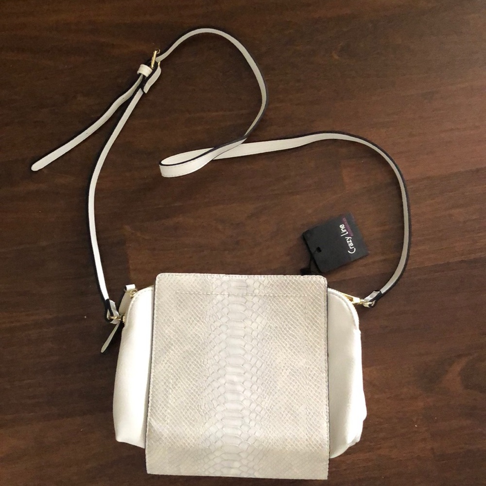 Snakeskin man made material purse from Israel